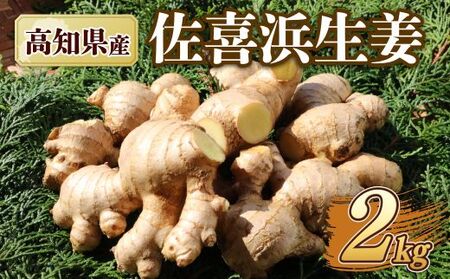国産 佐喜浜生姜 約2kg 生姜 ショウガ 薬味 料理 家庭用 農家直送 旬 野菜 生姜焼き 高知県 室戸市