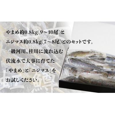 ふるさと納税 大月市 山梨県産　桂川の冷凍やまめ・ニジマスセット　計:約1.6kg(約16〜18尾) |  | 01