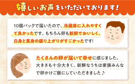 【3回定期便】まつもと たまご 60個 ＜松本養鶏場＞[CCD002] 長崎 西海 生卵 たまご 鶏卵 卵 卵ギフト 卵 たまご 卵セット 卵焼き 卵かけご飯 ゆで卵 卵とじ 生卵 鶏卵 卵黄 卵白 