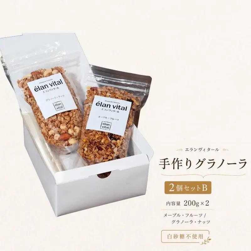 グラノーラ手作りエランヴィタールドライフルーツナッツグラノーラ【2個】