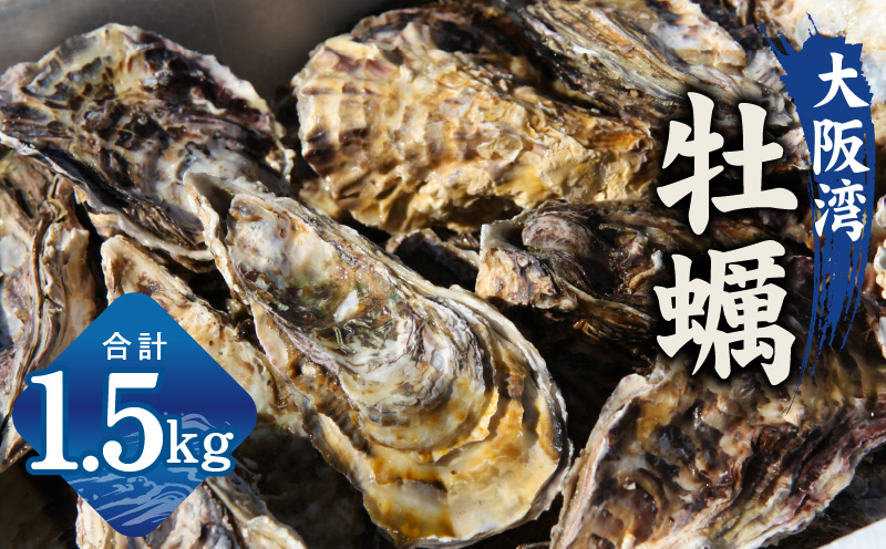 【スピード発送】牡蠣 1.5kg【カンカン焼きセット かき 冷凍 加熱用 殻付き 魚介類 海鮮 大阪湾 産地直送 大阪 泉佐野 大阪府 泉佐野市】