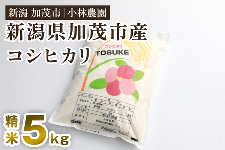  9月発送【令和6年産新米】加茂市小林農園のコシヒカリ 5kg（5kg×1袋）新潟産コシヒカリ お米 精米 料亭や割烹でも愛される従来品種 加茂市 小林農園 コシヒカリ 米 9月発送 米 9月発送