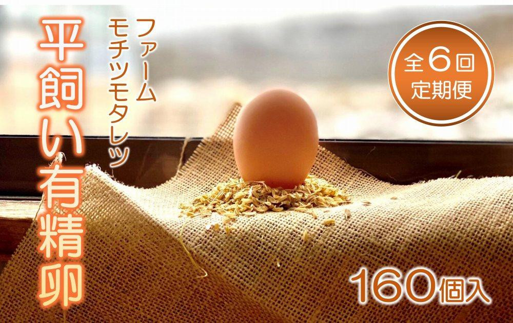 
【6回定期便】ファームモチツモタレツの平飼い有精卵（160個入）
