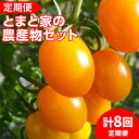 【ふるさと納税】【8回定期便】とまと家の農産物セット※2025年1月下旬～12月下旬頃に順次発送予定※北海道・沖縄・離島への配送不可※着日指定不可