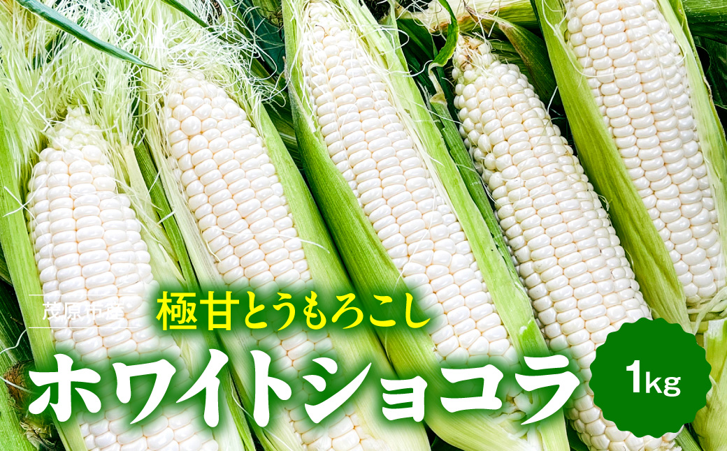 極甘とうもろこし ホワイトショコラ MBBG003