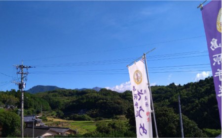 【年に3回しか作らない】幻の うどん 5kg / 南島原市 / 宮崎製麺所 [SDN007]