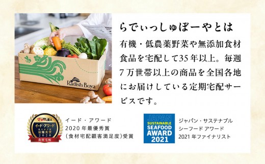 おせち 2027 ＜壱ノ華＞1人前 和風洋風 一段重 22品  冷凍 12月30日 人気おせち おせち料理 お節料理 保存料不使用 盛り付け済み 徳島 お取り寄せ 年内配送 年内発送