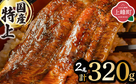 《2025年11月発送》『国産』うなぎ蒲焼 2尾 計320g [B-1124-PE(11)]