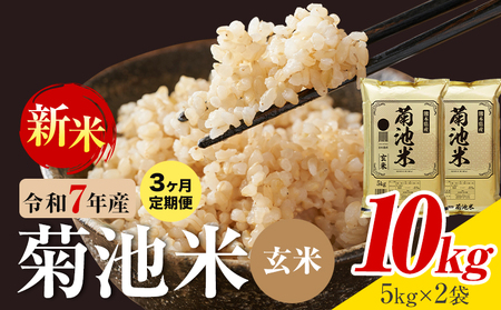 【3ヶ月定期便】熊本県産 菊池米 玄米 10kg 1袋5kg 米 お米 令和7年産 九州産 熊本県産 送料無料《お申込み翌月に出荷予定》玄米 米