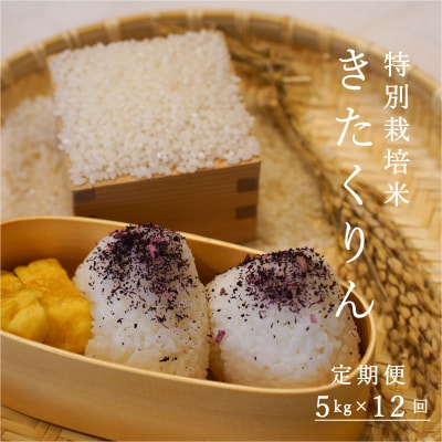 特別栽培米きたくりん5kg×12回【AB-024】