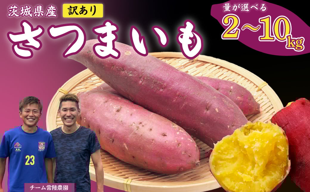 
            【先行予約】【訳あり】さつまいも 2kg・3kg・10kg｜いも スイーツ 野菜 ダイエット 小分け 国産 茨城県産 さつまいも サツマイモ お芋 おやつ 干し芋 焼き芋 紅はるか シルクスイート ねっとり 甘い 完熟 熟成 高評価 多数 蜜いも 秋の味覚 品種お任せ 訳あり 家庭用 サイズ不均一 小さめ キズ スレ 期間限定 高糖度 芋 焼き芋 茨城県 常陸太田市
          