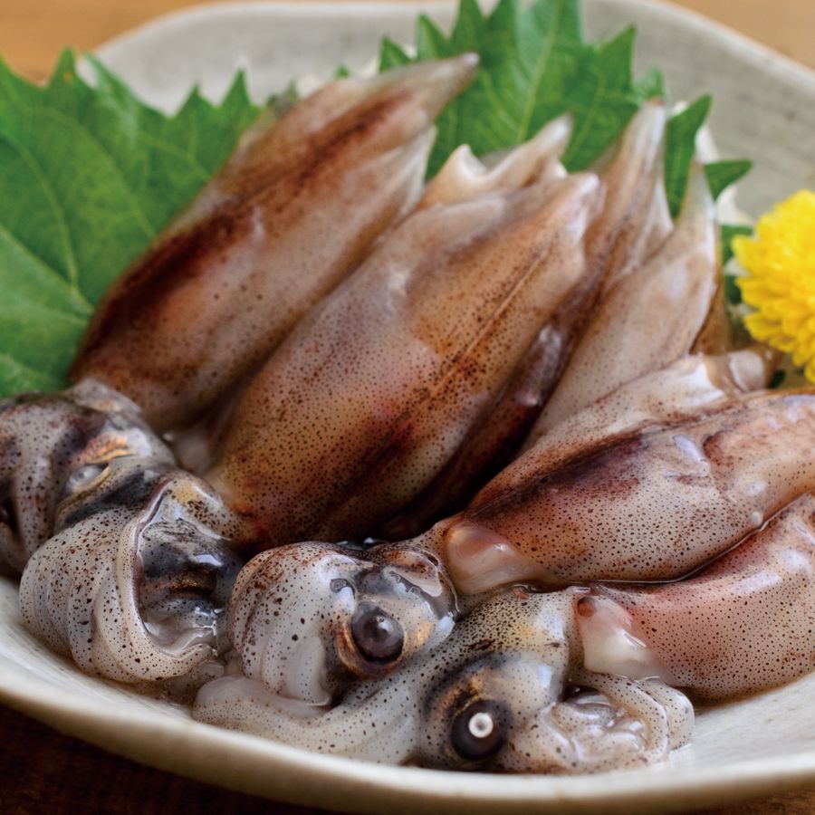 兵庫県香住産生「ほたるいか」1.5kg（250g×6）