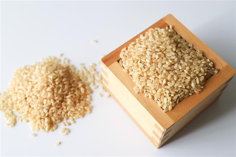 【期間限定】 ひとめぼれ 玄米 10kg お米 精米 玄米 白米 ごはん ご飯 単一原料米 茨城県産 美容 健康 69-I ＜2026年7月31日まで受付＞