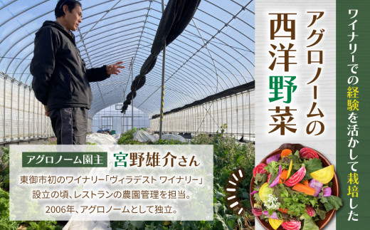 【アグロノーム】お一人様向け、お試し季節のお野菜セット※2024年7月以降発送開始