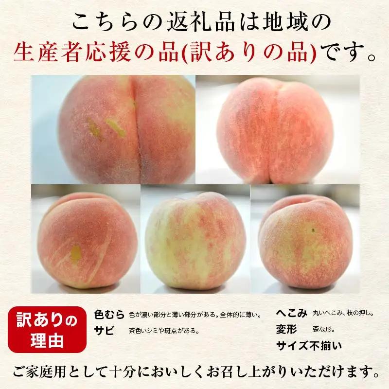 山形県産 白桃 ご自宅用 品種おまかせ 4.5kg もも フルーツ 【FSY-2742】