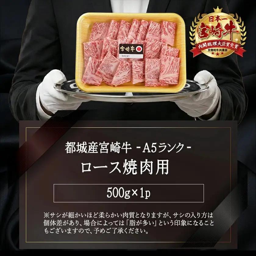 宮崎牛(A5)ロース焼肉用500g〔AD-0114〕_(都城市) 牛肉 最高級A5ランク 5等級 都城産 ブランド牛 ロース肉 焼肉用