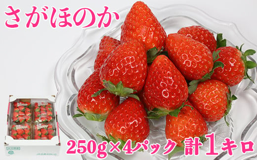 [2月発送]さがほのか 約1kg（約250g×4パック）／ いちご イチゴ 1kg 先行予約 2月 フルーツ 苺 ＜133-302_5＞