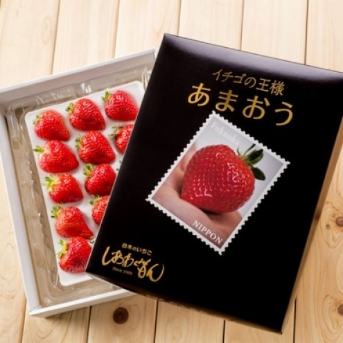 定期便 4ヶ月 いちご いちご職人 白木のいちご あまおう 1.2kg (300g×4P) 4回 コース イチゴ 苺 果物 デザート お楽しみ ※配送不可：沖縄・離島・北海道・東北