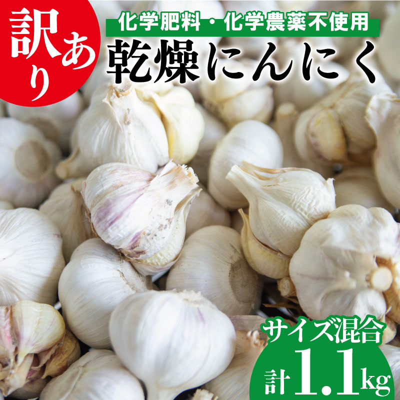 【ふるさと納税】 にんにく 乾燥ニンニク 約1.1kg 以上 完熟 訳あり サイズ混合 国産 おすすめ 野菜 薬味 不揃い ハーブ スタミナ 健康食品 食材 長期保存 阿波市 徳島県