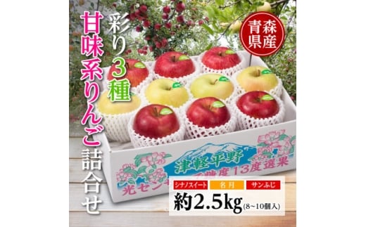 りんご/青森県産　彩り3種甘味系りんご詰合せ(高糖度)約2.5kg【1655319】