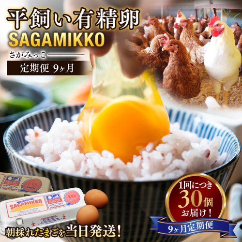 9ヶ月定期便 お楽しみ 毎月届く《かながわブランド認定》平飼い有精卵さがみっこ 30個(10個×3パック)×9か月 | 神奈川県相模原市産 たまご 卵 鶏卵 玉子 たまご 生卵 平飼い ケージフリー 有精卵 国産 濃厚 旨味 卵焼き たまごかけご飯 朝食 ご褒美 ※離島への配送不可