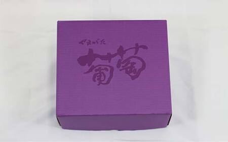 【先行受付（令和7年度発送）】大房もぎたてシャインマスカット 2房 約1.5kg ギフト箱入り マスカット ぶどう ブドウ 葡萄 デザート フルーツ 果物 くだもの 果実 食品 山形県 FSY-121