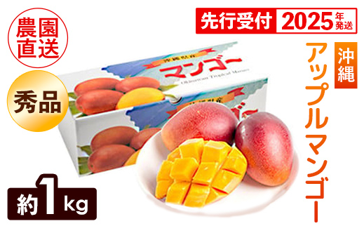 【化粧箱入】【先行受付・2025年発送】ヤマト農園 アップルマンゴー約1kg（秀品）- 先行予約 沖縄県産 産地直送 南国フルーツ 旬の味覚 季節の果物 贈り物 ギフト 沖縄県 八重瀬町