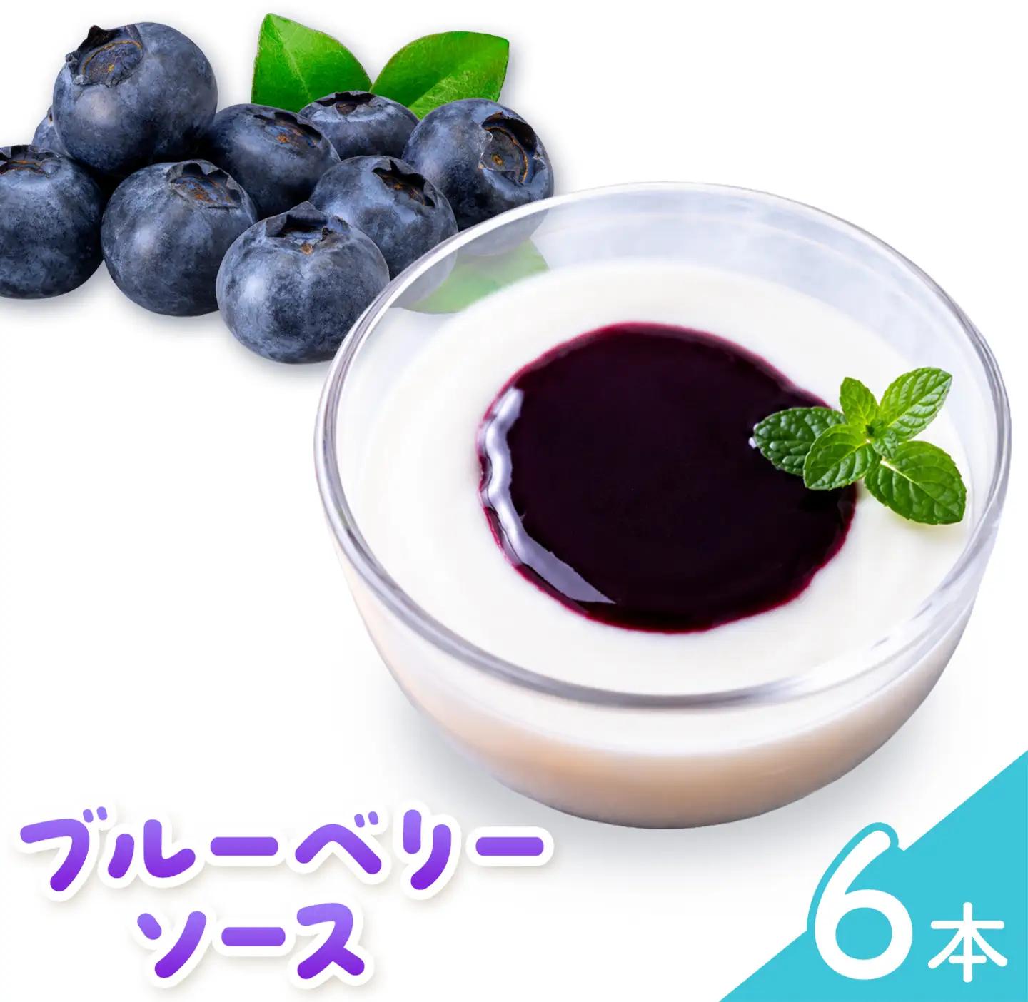 ブルーベリー ソース 170g 6本 田野農園《30日以内に出荷予定(土日祝除く)》鹿児島県 さつま町