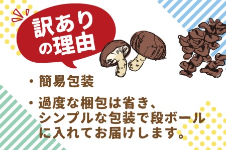 【11月上旬〜3月下旬】菌床しいたけ・生きくらげセット 計1kg 食べ比べ 政木農園 肉厚 椎茸 しいたけ シイタケ キクラゲ 飛騨 簡易包装 訳アリ わけあり ワケアリ 家庭用 大容量 旬 [Q94