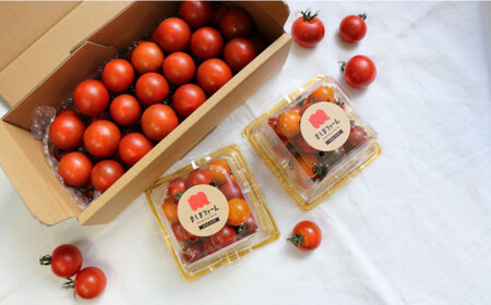 【ふるさと納税】＜佐川町産フルーツ・野菜 定期便（年3回）＞高知県 佐川町 トマト 梨 和梨 栗 夢甘栗 果物 お申込みの翌期の果物（野菜）から発送 フレッシュ 旬 生栗 ミニトマト 高糖度 フルティ
