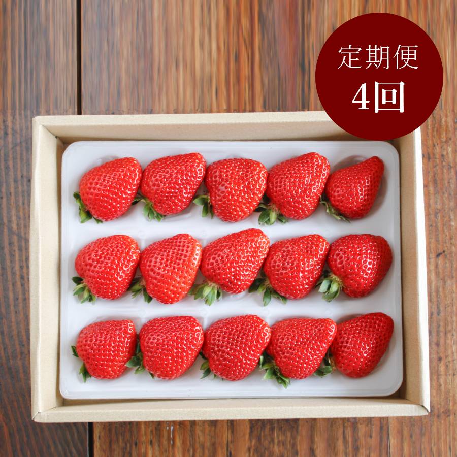 ＜いちご農家西岡農園＞勝占いちご15粒【定期便4回】2026年1月開始