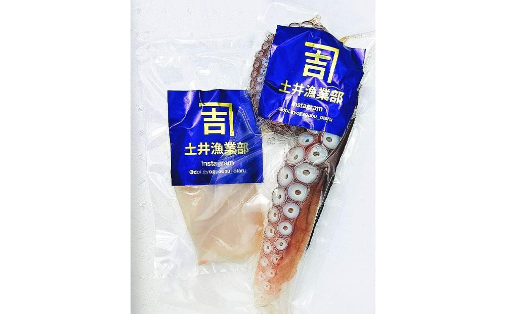 小樽市祝津 冷凍浜茹で タコ足 400g×1個 タコ頭 柵切り130g～150g×1個 【漁師直送】