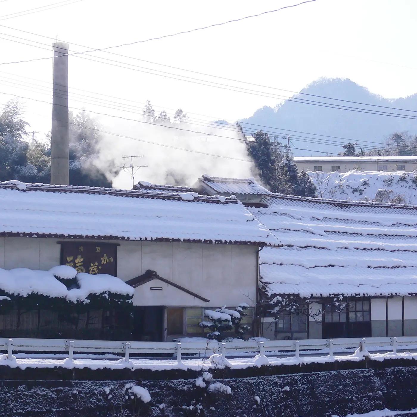加茂福　純米　京太郎　純米原酒セット