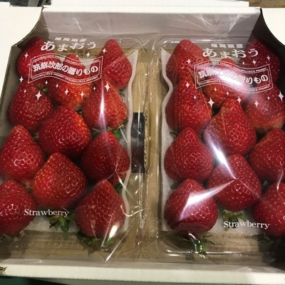 
            九州・福岡完熟あまおうデラックス2パックセット【1033562】
          