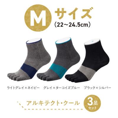 ふるさと納税 久留米市 和紙×コラーゲンナイロン アルキテクト・クール3足入り(3色/M寸) |  | 03