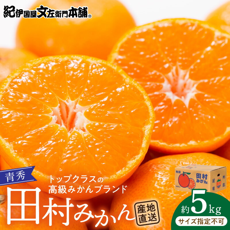 【ふるさと納税】【限定】 田村みかん／5kg青秀／サイズ指定なし／紀州和歌山有田郡湯浅町田村地区産／最高級プレミアムブランドの田村ミカン／紀伊国屋文左衛門本舗(お届け日指定不可)