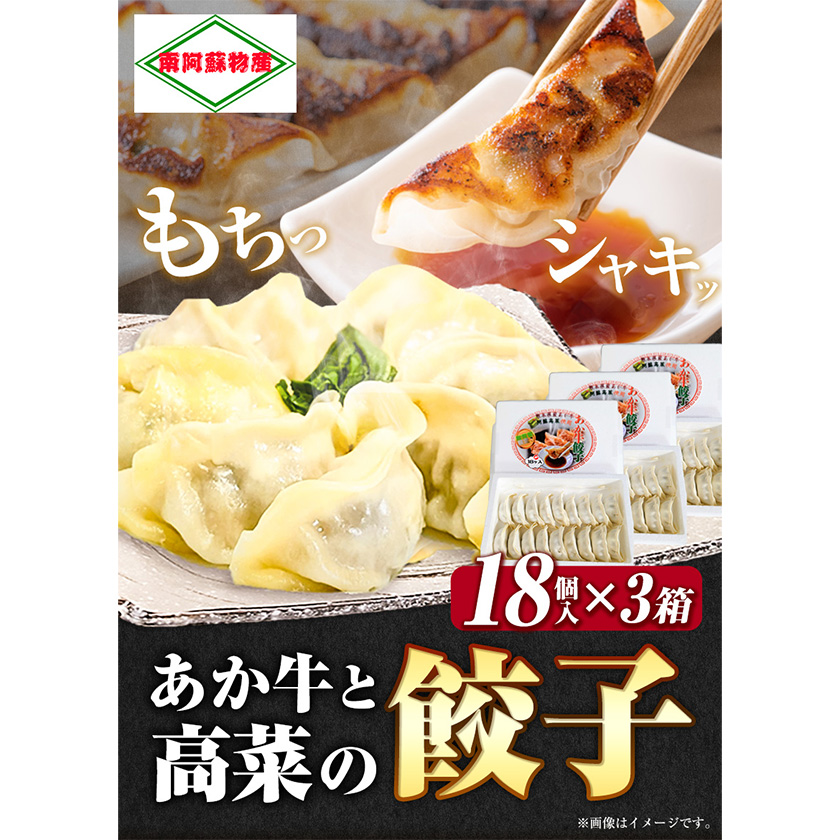 あか牛と高菜の餃子 18個入り×3箱 南阿蘇物産センター《30日以内に出荷予定(土日祝除く)》---sms_fautkngz_30d_23_14500_46p---