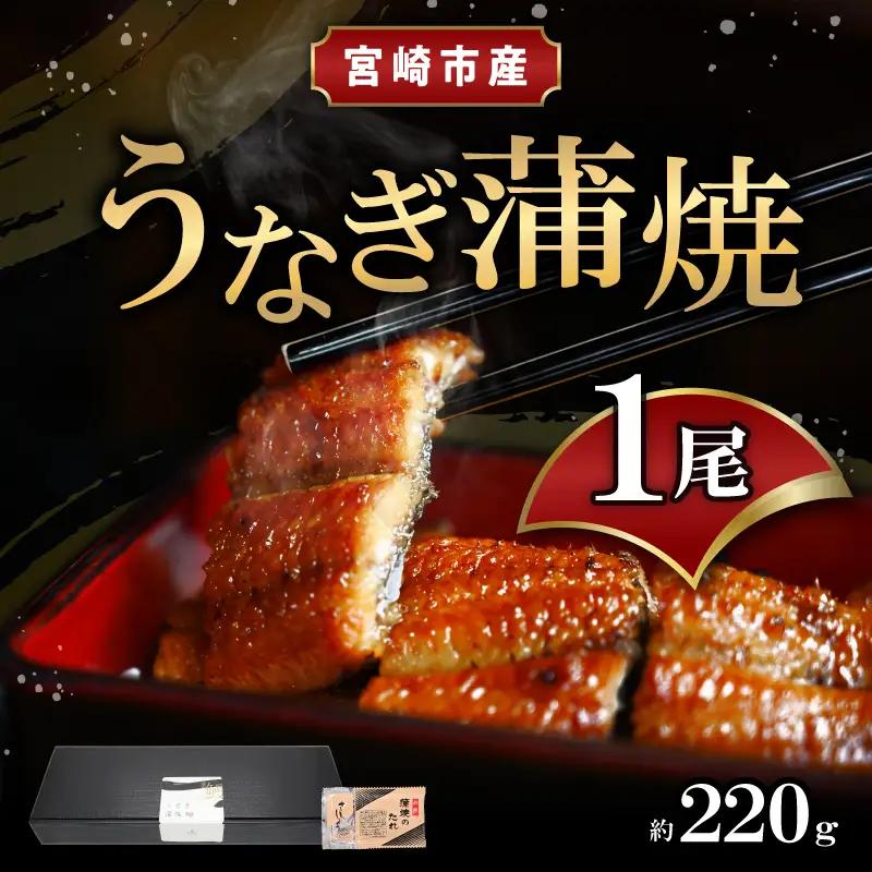 うなぎ 蒲焼 うなぎ[国産 1尾 220g]