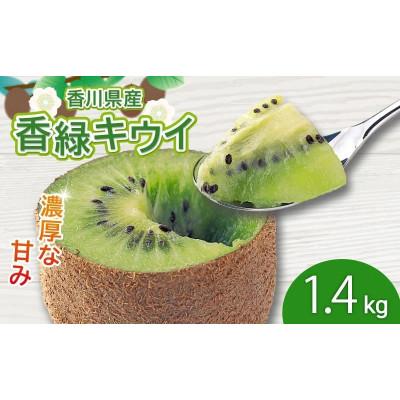 ふるさと納税 丸亀市 濃厚な甘み!香緑 キウイフルーツ 約1.4kg