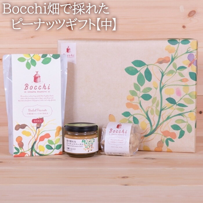 【ふるさと納税】Bocchi畑で採れたピーナッツギフト【中】 ／ ペースト からつき なめらか 送料無料 千葉県