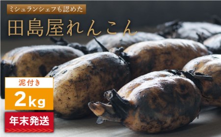 【年末発送】【先行予約】 れんこん（泥付き） 2kg  / れんこん レンコン 蓮根 れんこん レンコン れんこん れんこん れんこん [IAV004]