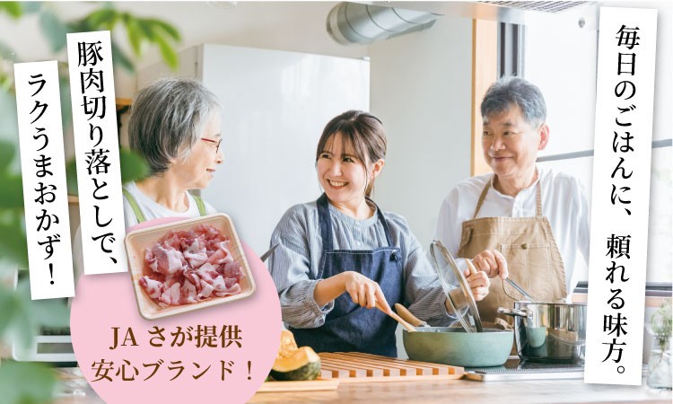 切り落とし 豚肉 豚 こま切れ 小分け 豚しゃぶ きりおとし 切り落し 肉