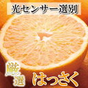 【ふるさと納税】＜1月より発送＞家庭用 はっさく6.5kg+195g（傷み補償分）【八朔みかん・ハッサク】【わけあり・訳あり】 | 和歌山県 和歌山 上富田町 楽天ふるさと 納税 果物 くだもの フルーツ 旬の果物 旬の味覚