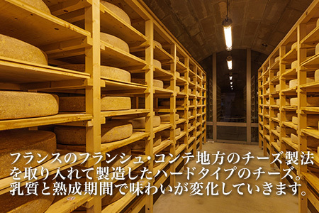 チーズ  グランプリ受賞 100g×5個  北海道チーズ 本格的ハードチーズ  [024-41]
