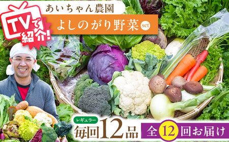 【12品 / 12回定期便】「よしのがり野菜」セット（レギュラー）吉野ヶ里町/吉野ヶ里あいちゃん農園 減農薬 有機肥料 1年間 [FAA006]