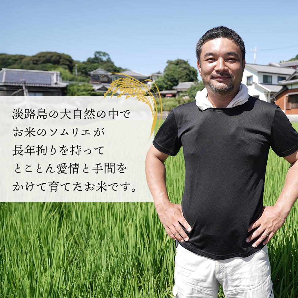 【定期便】野添農園のコシヒカリ 5kgｘ6ヶ月「ひょうご安心