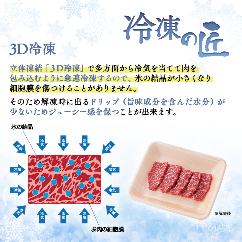 宮崎牛＆宮崎県産豚肉 焼肉10種盛り 食べ比べセット600ｇ ミヤチク 内閣総理大臣賞４連続受賞＜1.1-7＞牛肉 宮崎牛 豚肉 国産 宮崎牛 焼肉