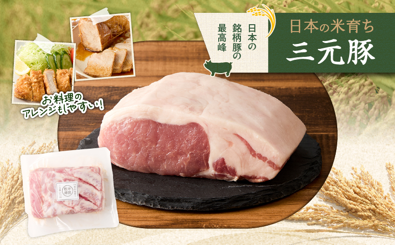 【全6回 毎月定期便】日本の米育ち平田牧場三元豚ロースブロック 1.2kg　T036-T07-02