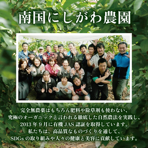 【グァバ茶】有機JAS認証 有機グアバ農園の土佐國グァバ茶（2g×30包）国産有機栽培の葉100％