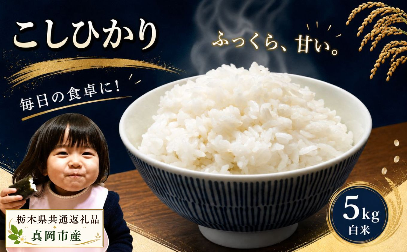 お米 令和8年産 こしひかり 白米 5kg【2026年 先行予約】 | 栃木県共通返礼品 真岡市産
